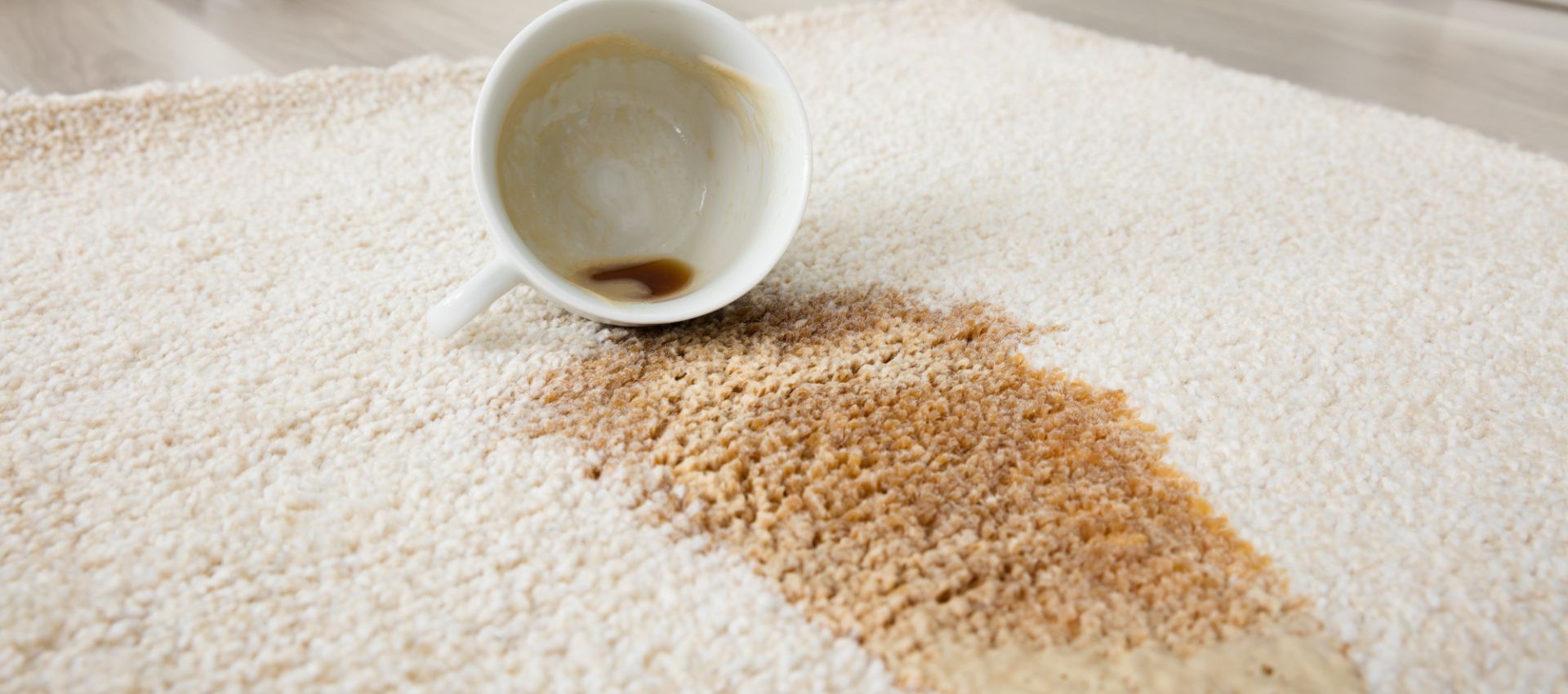 تمیز کردن انواع لکه از روی فرش