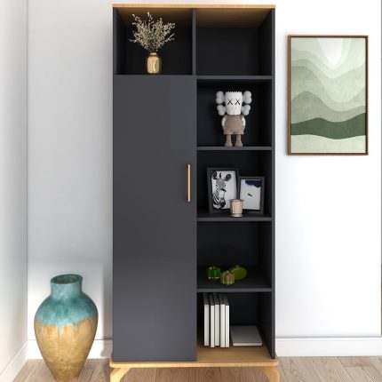 کتابخانه مدل رامون